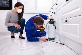 Best Bed Bug Extermination  in Jericho, NY